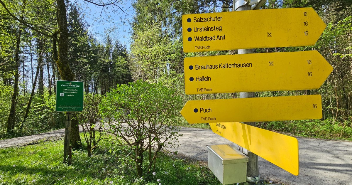 Dorfrunde Puch - Foto: TVB Puch